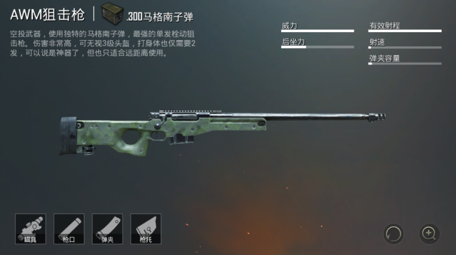 和平精英中大狙是什么？