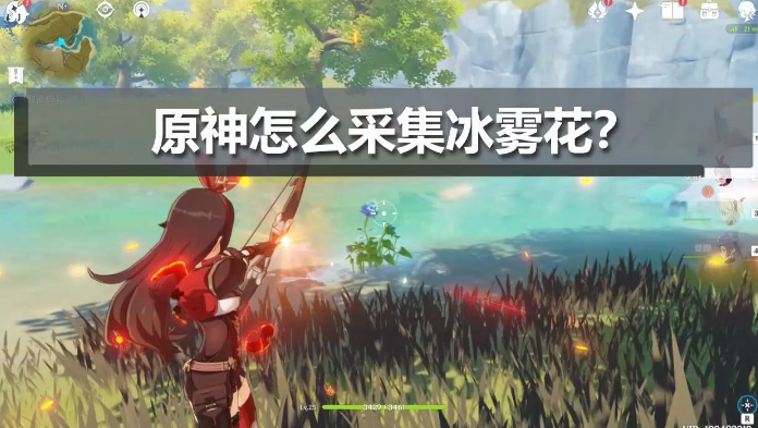原神冰雾花朵怎么采集？