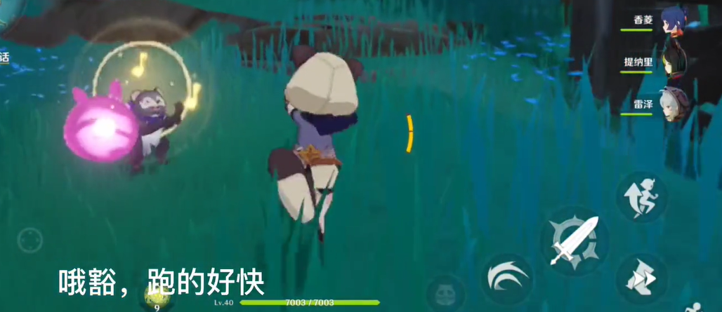 原神跳舞的小浣熊有什么用？