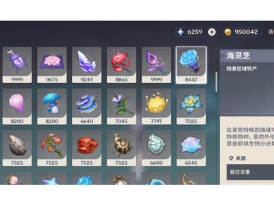 探索原神海林芝