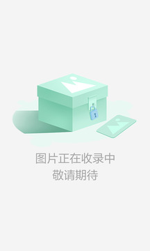 网球传奇